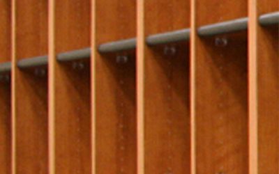 Test Feature – Educational K-12